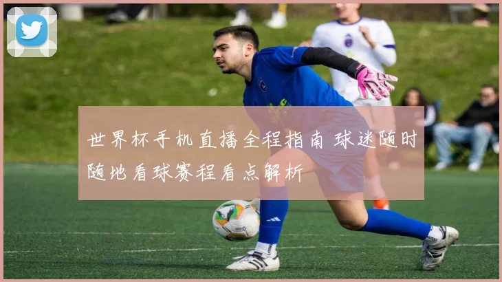 世界杯手机直播全程指南 球迷随时随地看球赛程看点解析