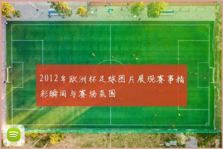 2012年欧洲杯足球图片展现赛事精彩瞬间与赛场氛围