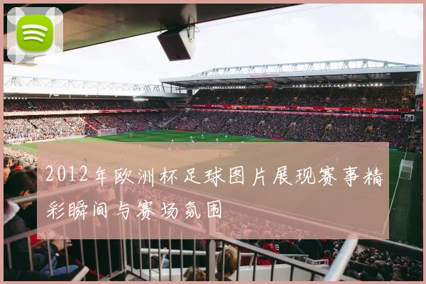 2012年欧洲杯足球图片展现赛事精彩瞬间与赛场氛围